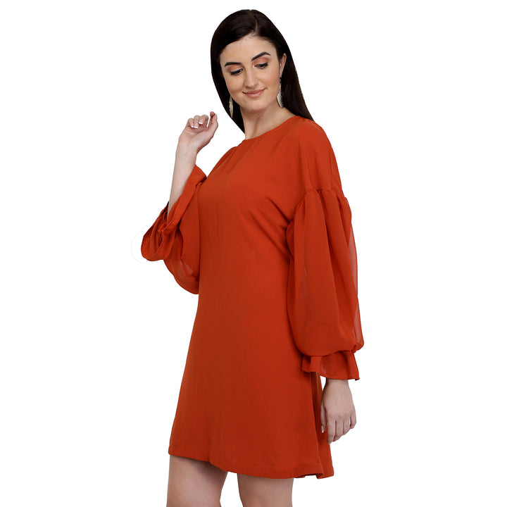 Rust Balloon Sleeves Dress
