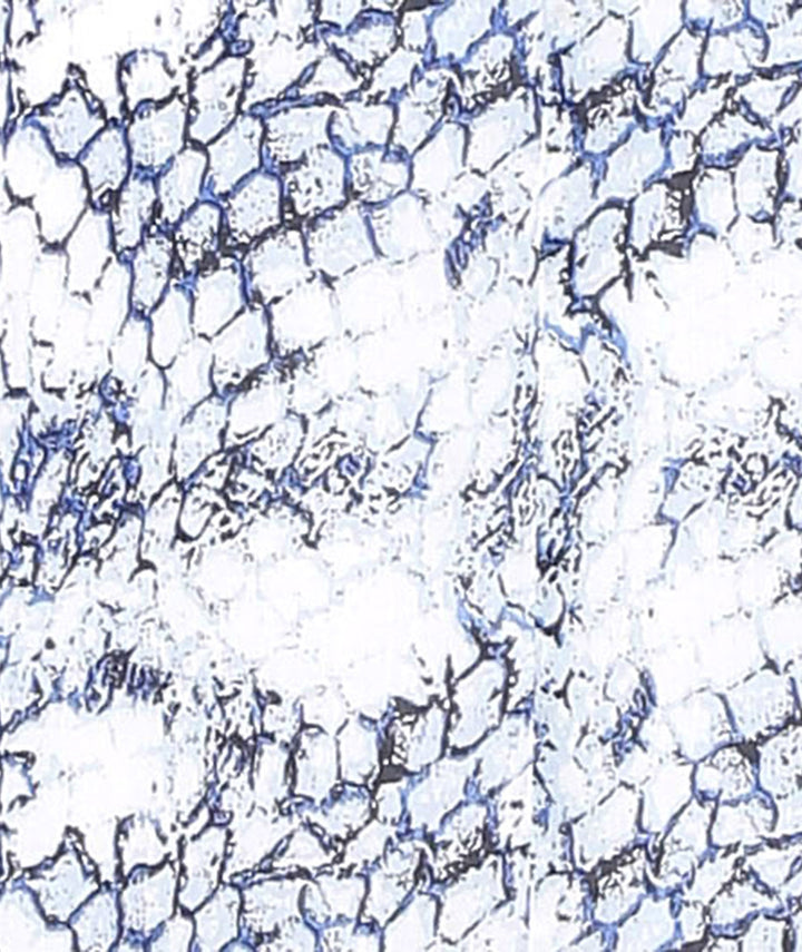 Asymmetric Printed Day Dress