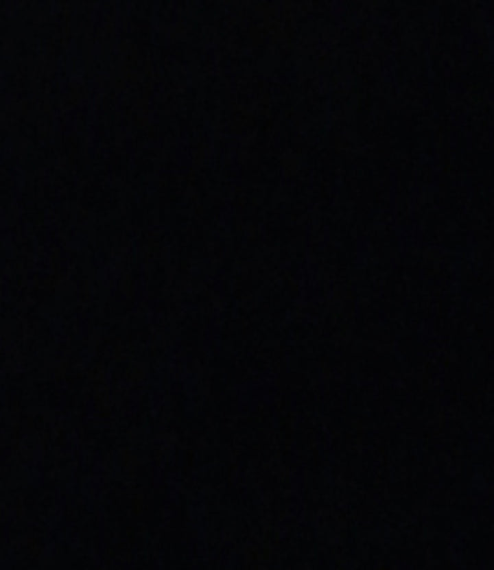 Black Zipped Sheer Top