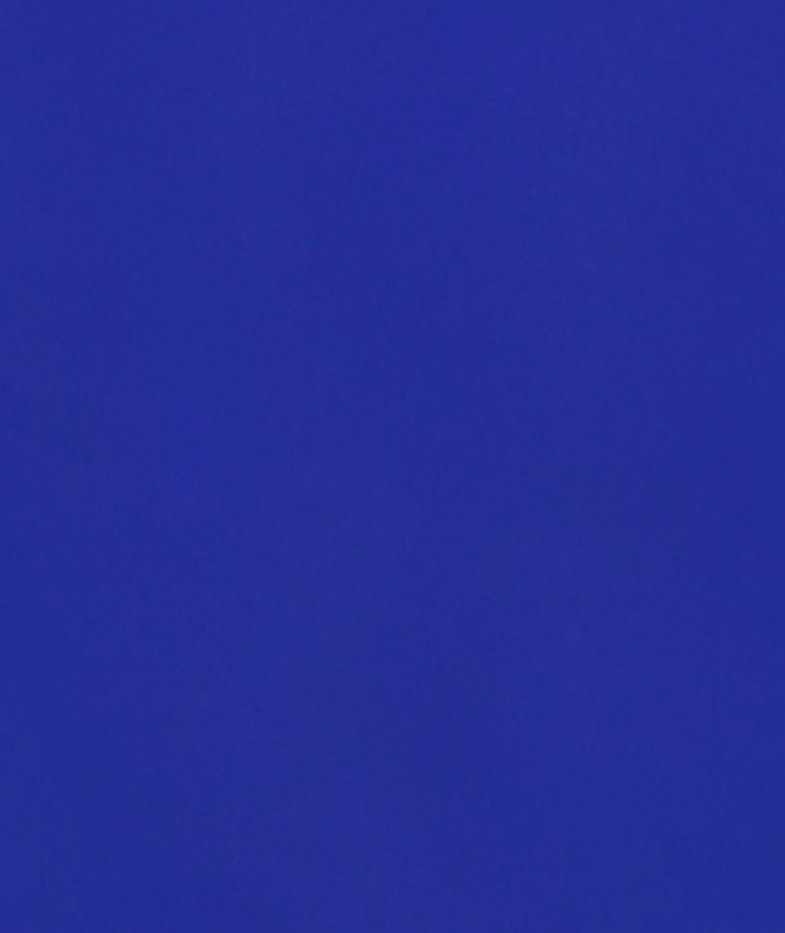 Blue Polyester Belle Sleeves Top