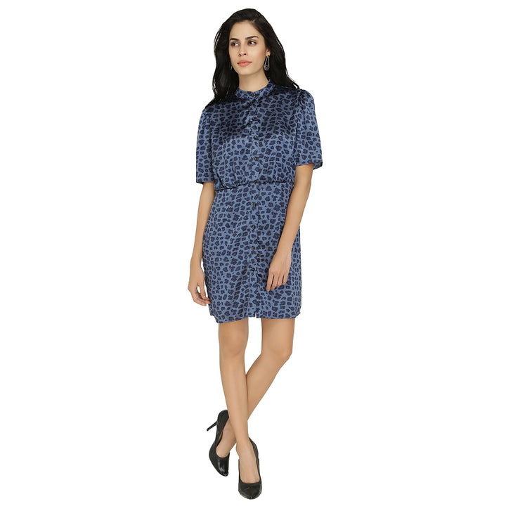 Animal Print Satin Dress