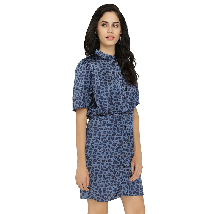 Animal Print Satin Dress