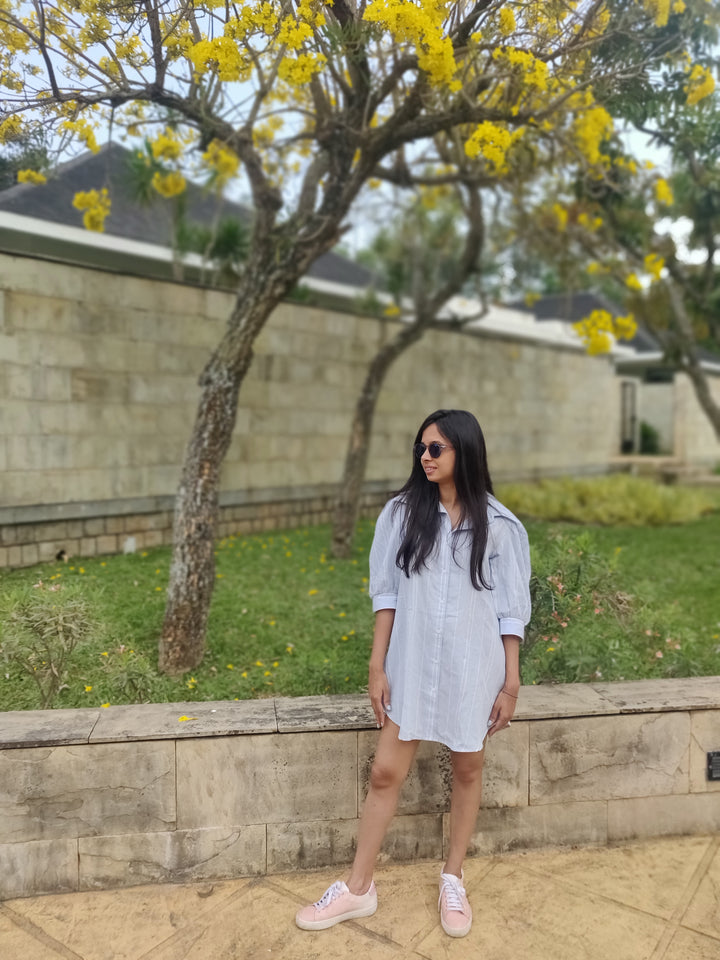 Blue Striped Shirt Dress