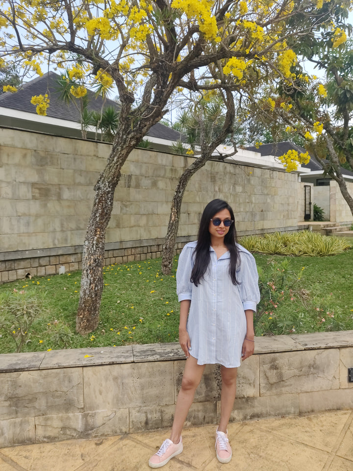 Blue Striped Shirt Dress