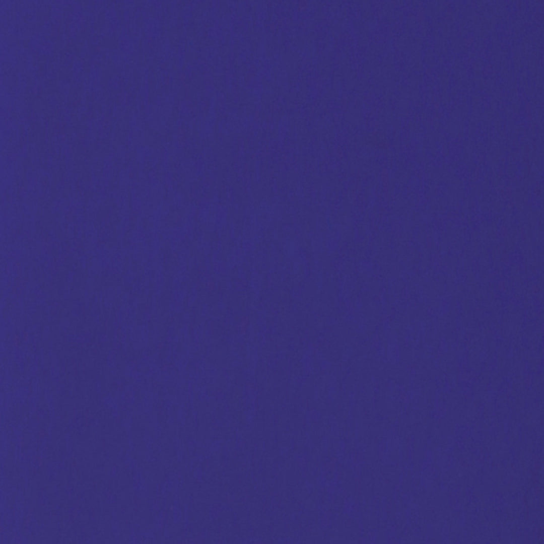 Blue Cami Solid Top