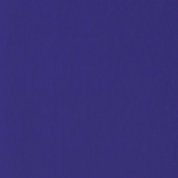 Blue Cami Solid Top